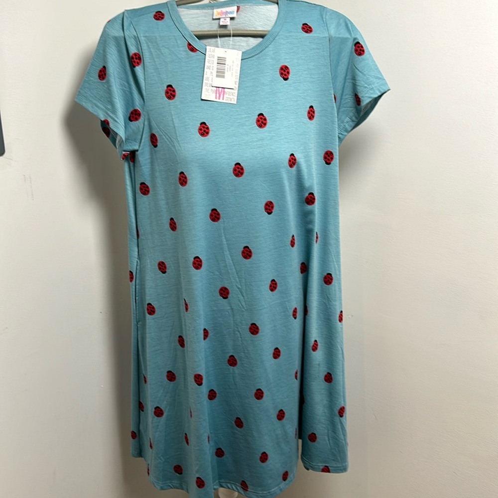 Ladybug 🐞 swing dress with pockets